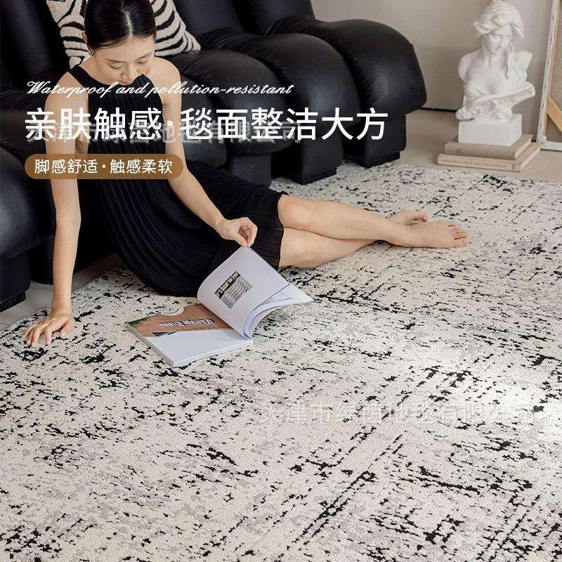 防水抗污意式极简硅藻丝地毯客厅卧室黑白抽象高级意式茶几毯耐脏