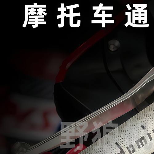 适用豪爵UHR150/GSX250R/DL250/GW250/TR300改装多米诺手把胶把套