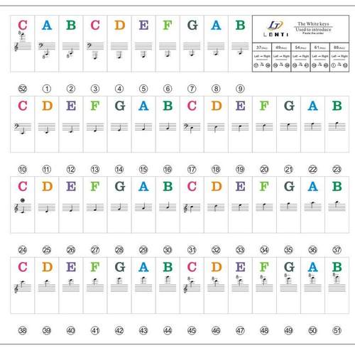钢琴贴纸音贴简谱音阶88键61键49键电子琴37键五线谱升降调
