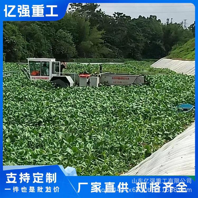 湖泊海面水草打捞视频鱼塘水池垃圾除草保洁船水上除草割草船