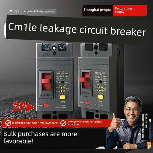 单相Cm1Le漏电断路器40A 50A 63A漏电保护家用220V保护器100A125A