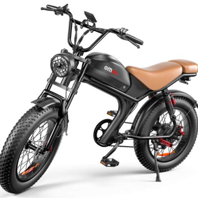自行车私模20寸雪地肥胎电动自行车ebike配海外仓