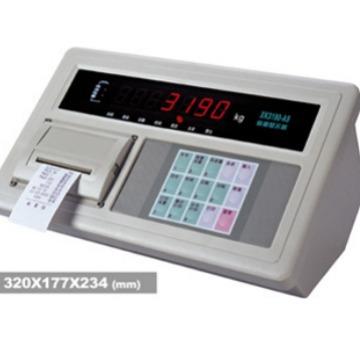 河南售XK3190-A9B称重显示器，100吨地磅打印磅头上海耀华原厂发
