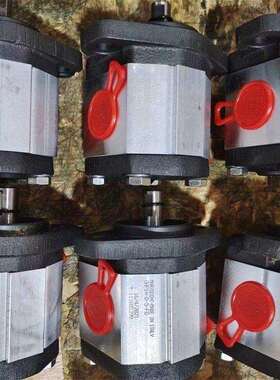 马祖奇双联齿轮泵ALP2A-D-13-FG-V 意大利齿轮泵及马达 齿轮泵