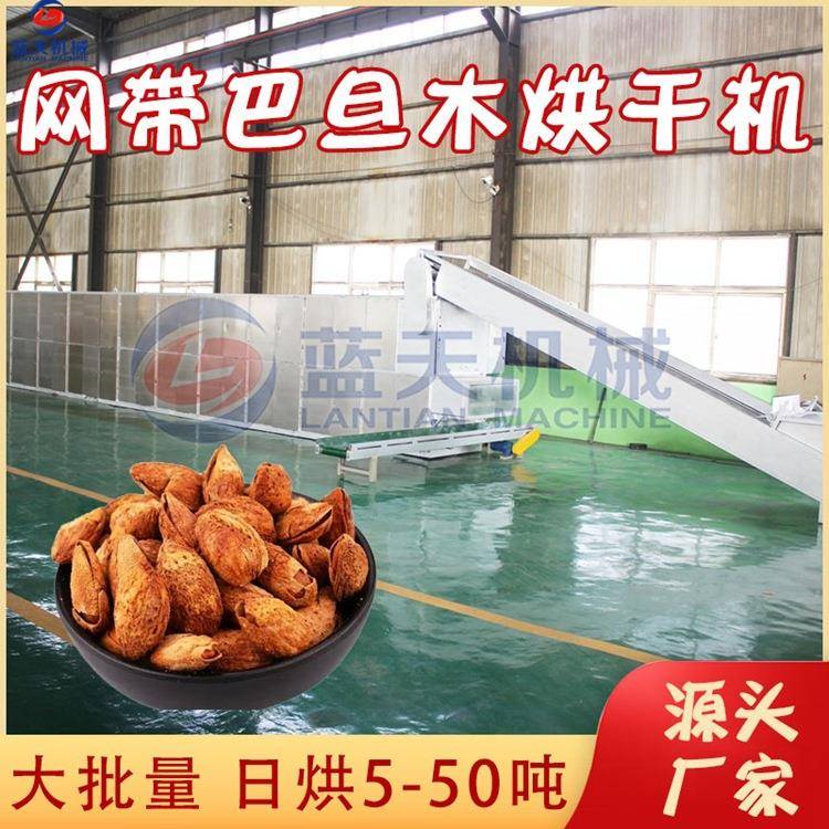 链条式巴旦木烘干机大型网带巴达木巴旦杏干燥机薄壳杏仁烘干机