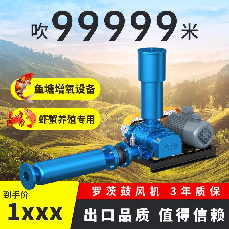 三叶罗茨风机鱼塘增氧虾蟹养殖鱼苗孵化设备厂家直供罗茨鼓风机