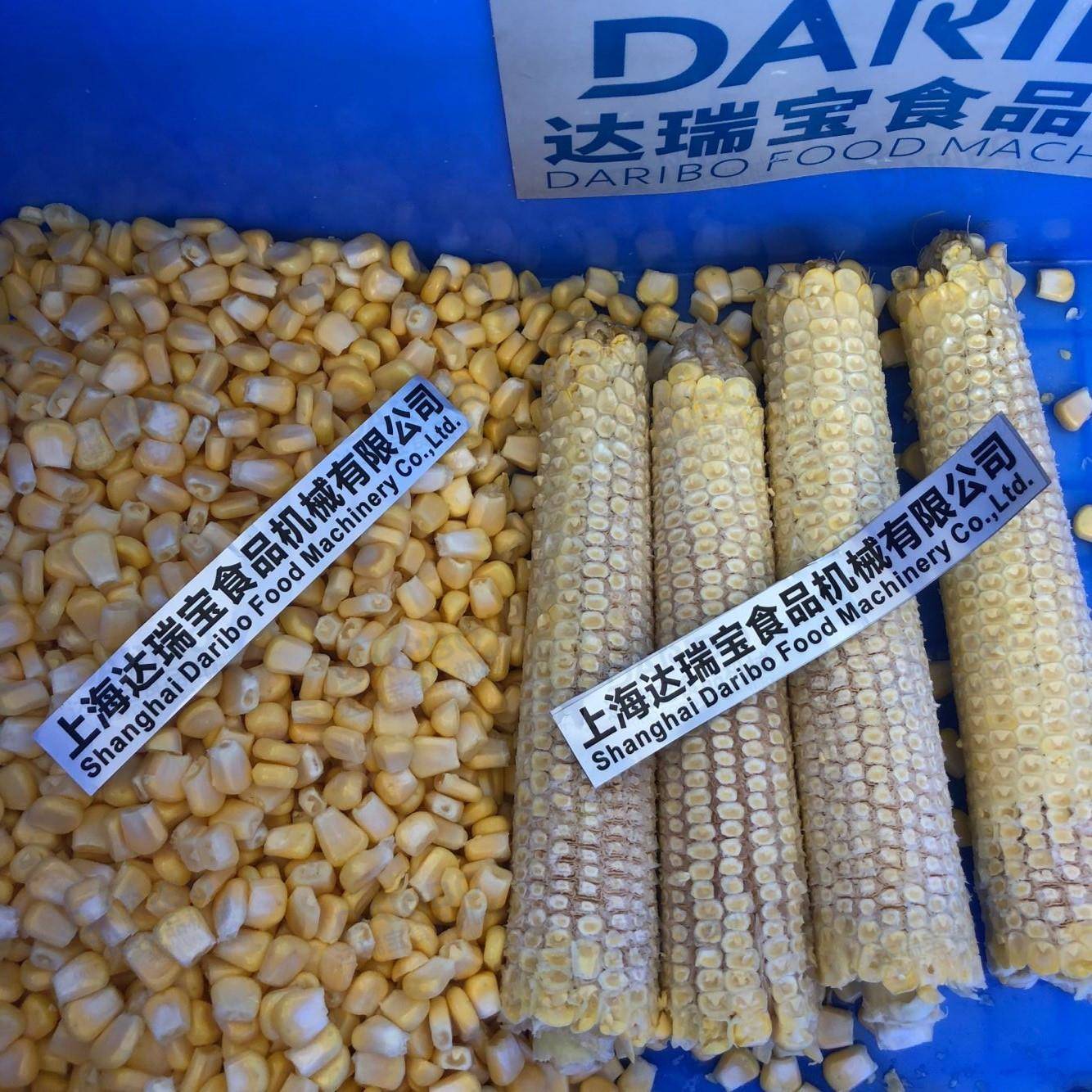 *自动输送进料玉米剥粒机花玉米脱粒设备 罐头生产玉米取粒除梗机