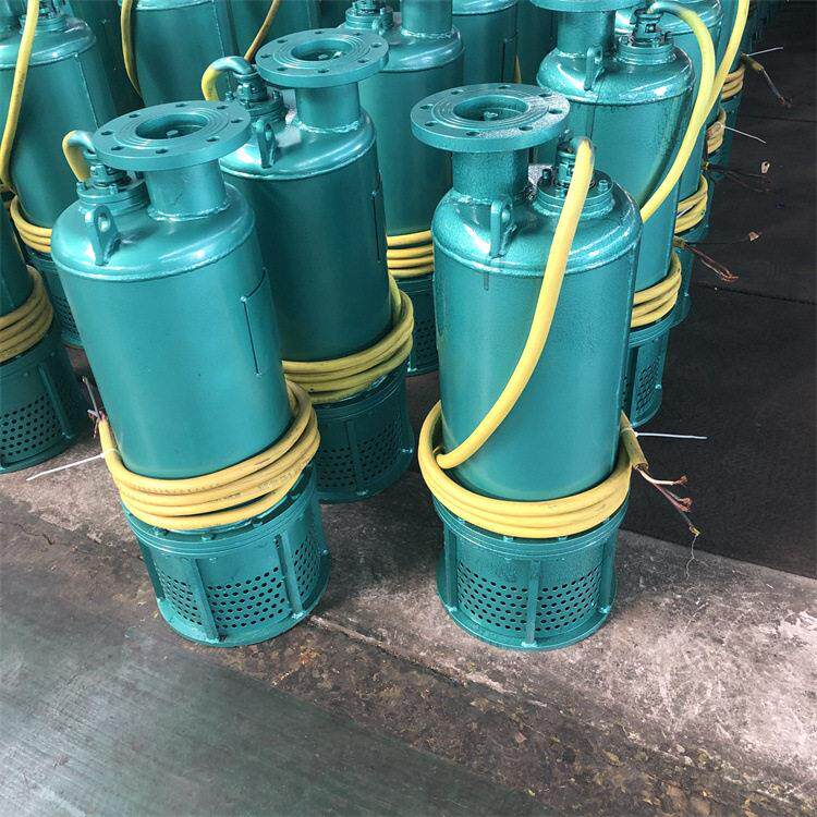 BQS系列潜水排沙电隔爆型潜水泵BQS70-35-15/N潜水排沙泵