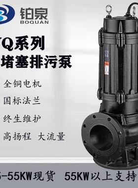 WQ污水泵无堵塞高扬程380V污水处理泵厂家地下室防汛抽水排污泵