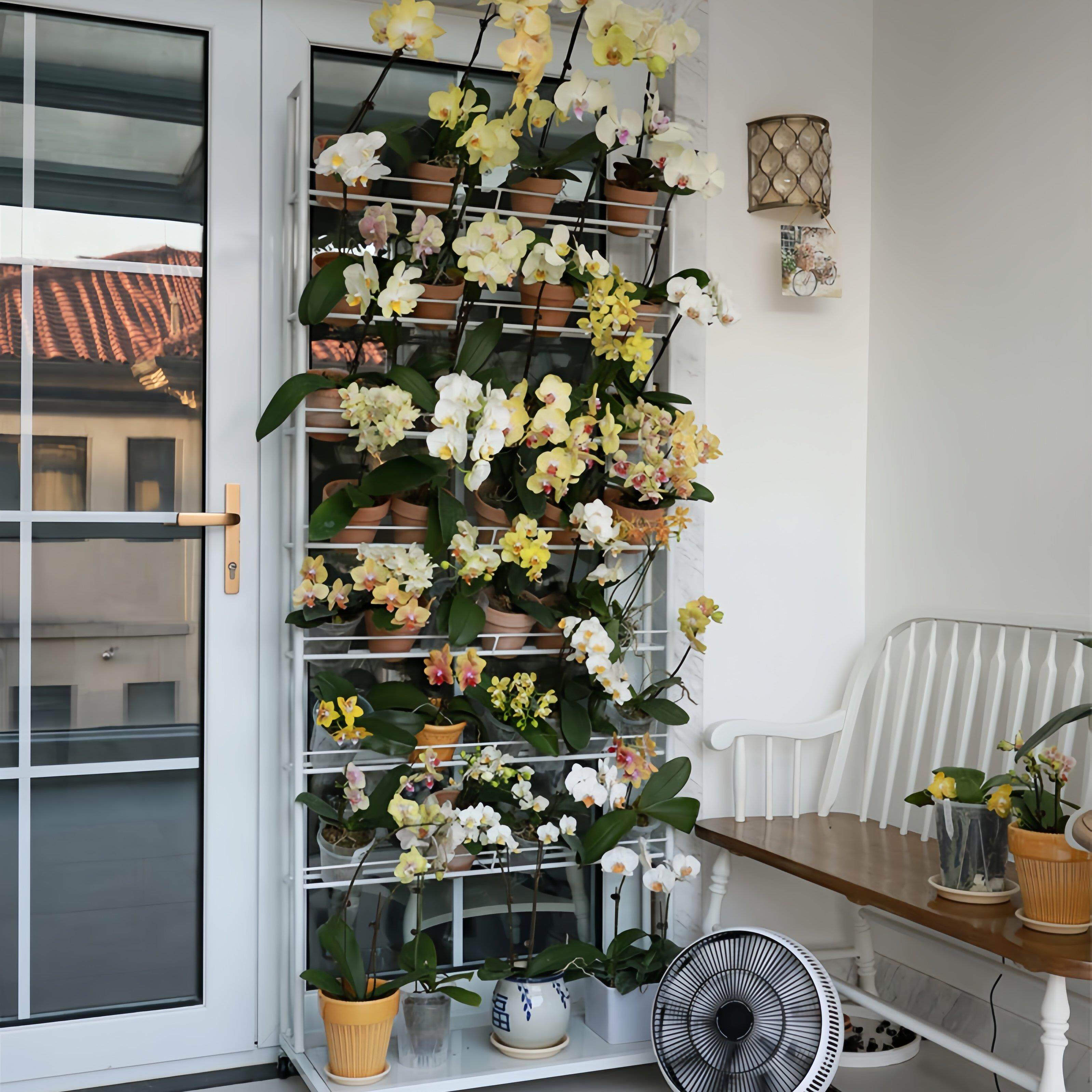 落地式蝴蝶兰花架北欧风客厅可移动蝴蝶兰展示收纳层架阳台斜放花