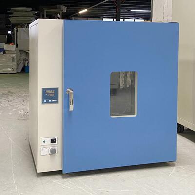 实贝TLD-240黑蒜机烘干箱设备 加热恒温时间控制黑蒜发酵工艺