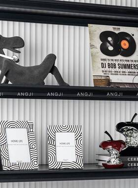 现代轻奢样板间餐边柜酒柜摆件展示橱窗高端组合装饰品CD黑胶唱片