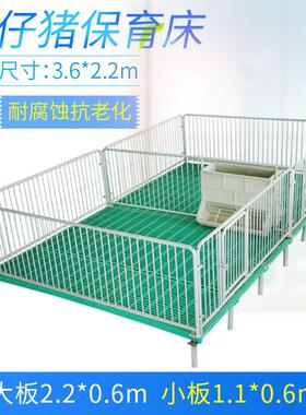 恒富ZH210810机械复仔猪保床设备网养猪设育备小猪保育床钢丝合底