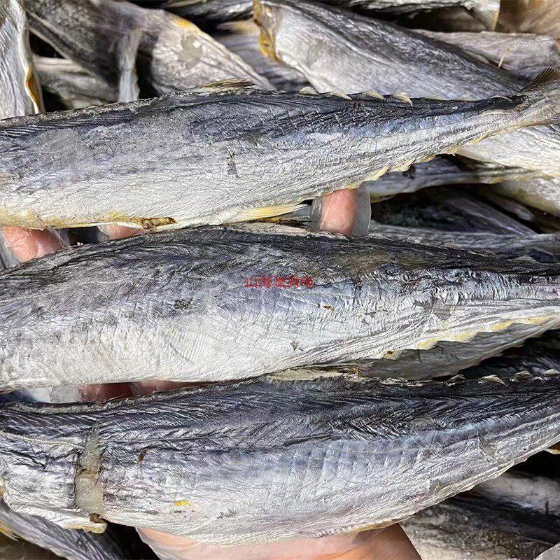 广东珠海马交咸鱼干马鲛咸鱼无头马鲛鱼渔家自晒海鲜干货500克