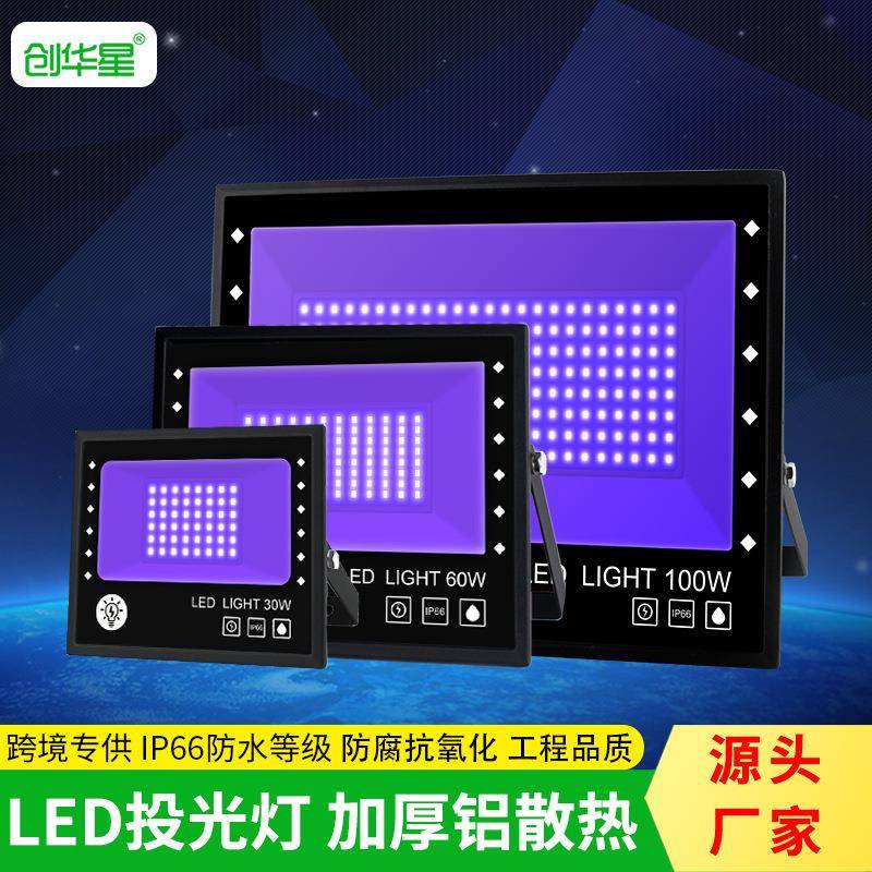 跨境LED投光灯 30W60W100W防水紫光投光灯泛光灯户外射灯厂家直销