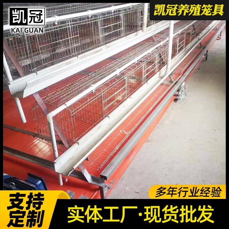 冷双边阶梯式蛋鸡笼镀锌铁丝养网鸡舍笼子三层ERH四层阶梯式立鸡