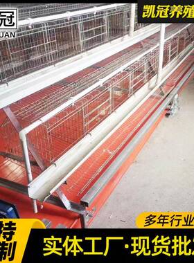 冷双边阶梯式蛋鸡笼镀锌铁丝养网鸡舍笼子三层ERH四层阶梯式立鸡
