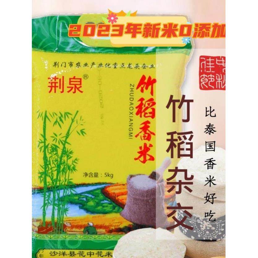荆泉竹稻米竹稻杂交米竹稻大米竹稻香米 5kg 竹稻米种2024年新米