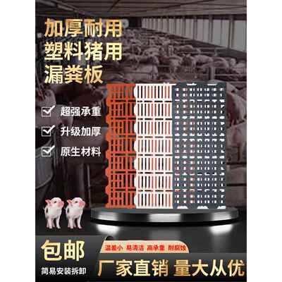 加厚养猪漏粪板母猪产床漏粪板猪用塑料狗小仔猪保育床羊床漏粪板