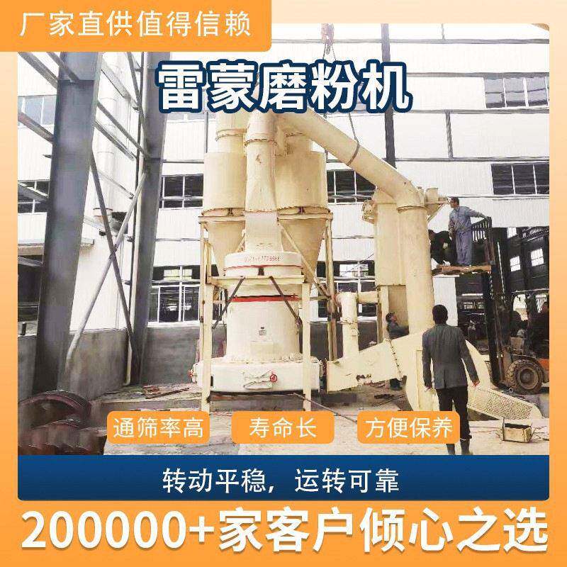 红星雷蒙磨粉机矿石煤石灰石陶瓷石头岭土矿粉磨粉机超细大型