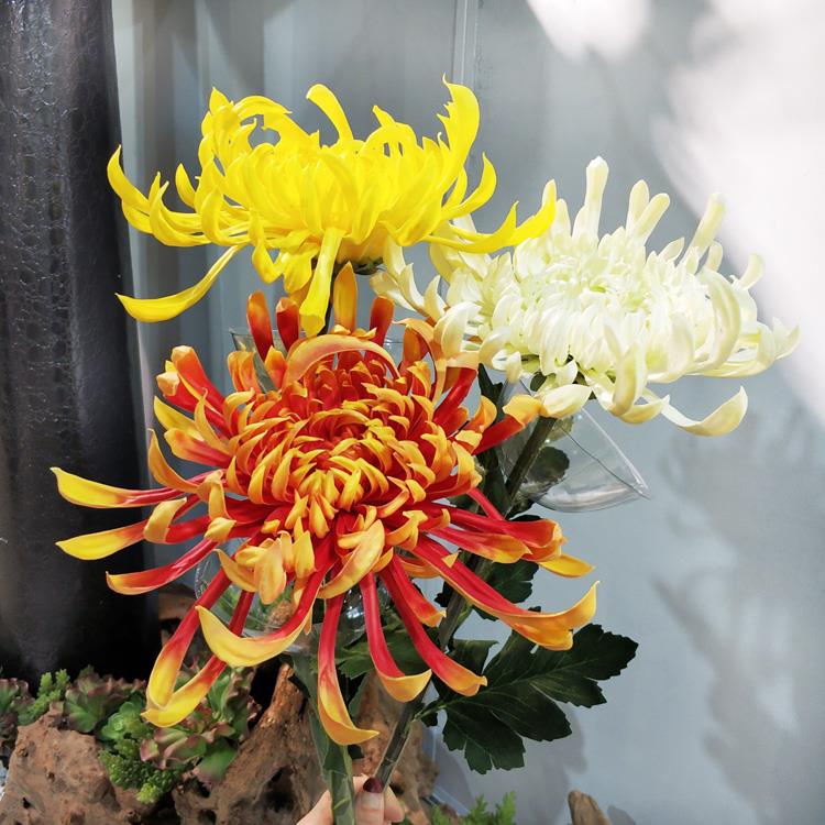 仿真菊花 PU手感大朵九月菊 凤尾菊万寿菊 仿真PU虞美人 大丽花