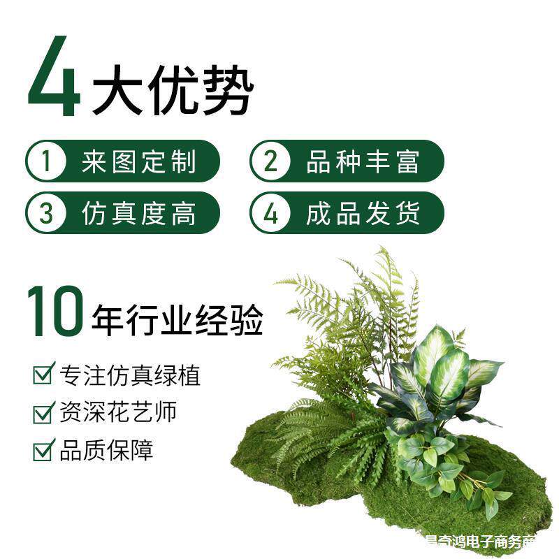 仿真苔苔藓微合景观HE—220绿室内客厅假植物植造景组橱窗仿生青