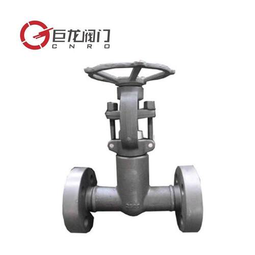 巨龙阀门双重密封耐高温导热油蒸汽用WZ41H锻钢波纹管闸阀