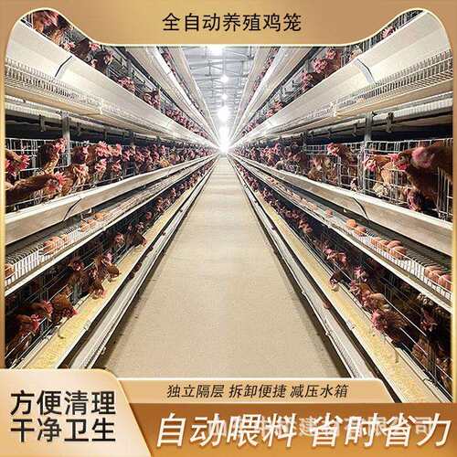 全自动层叠镀锌鸡笼肉鸡H型笼鹌鹑笼蛋鸡笼鸽子笼层叠式肉鸡A型笼