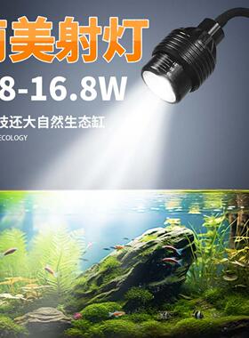 2025新款鱼缸灯led原生灯溪流缸灯水草鱼缸观赏灯南美缸射灯专用