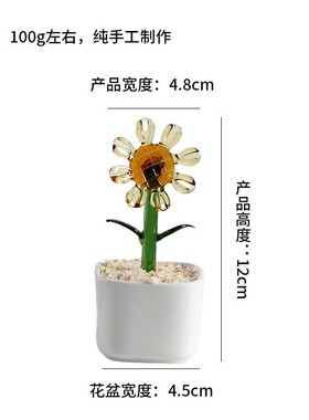 仙人掌办公室工艺品淄博装饰摆件