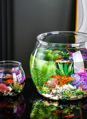 鱼缸客厅透明生态缸微景观造景塑料观赏多功能小型桌面摆件乌龟缸