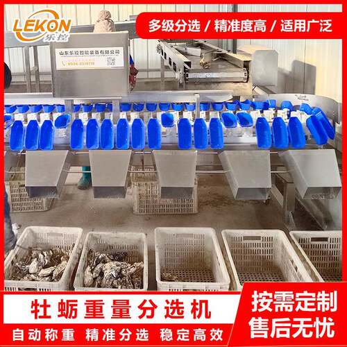 牡蛎自动称重分拣机海产品自动称重机重量分选机自动化设备厂家