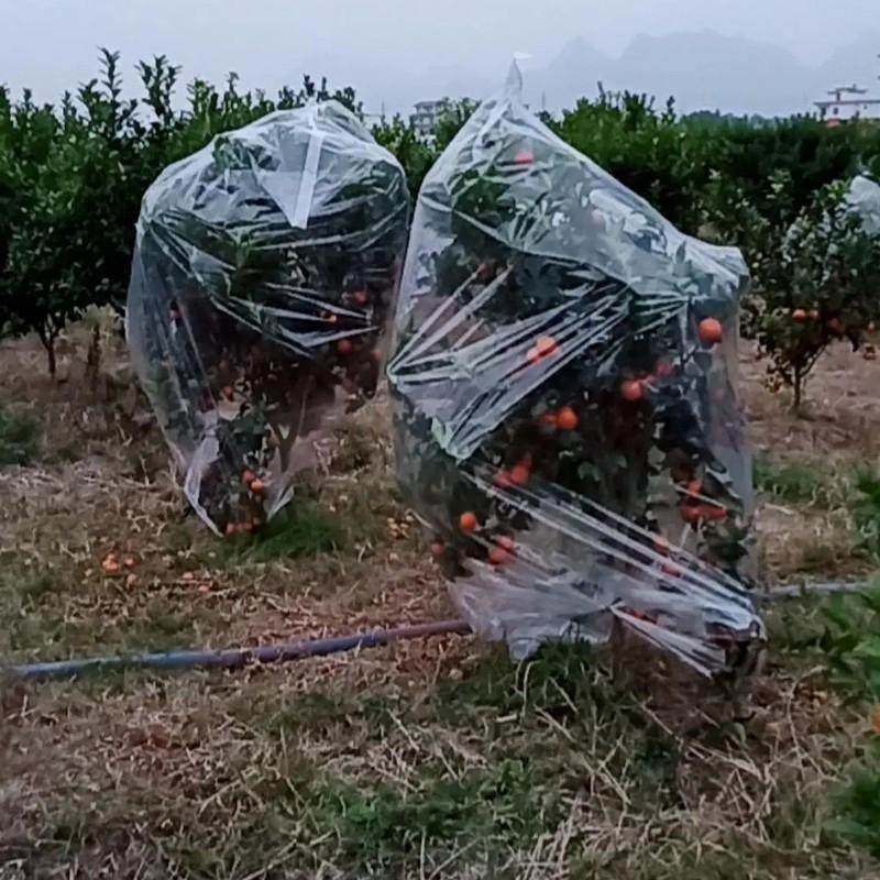 室外花卉保暖罩植物保温袋香蕉套袋薄膜树木果树防寒罩防冻塑料布,橡塑材料及制品,塑料盒/塑料箱/塑料柜,淘宝优惠券,粉丝福利购,淘宝优惠卷