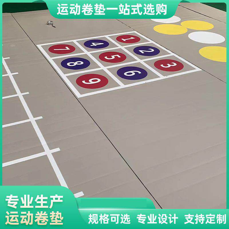 供应早教儿童训练爬行地垫舞蹈防摔跤自由体操跳绳垫子防滑