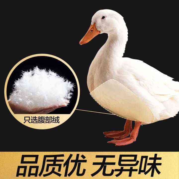 源头工厂供应纺织服装被子98纯白鸭绒清水货高蓬松大朵绒优惠羽绒