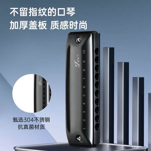 FEIFAN飞繁十孔c调圆孔布鲁斯口琴U20paddy蓝调学生演奏蓝调口琴