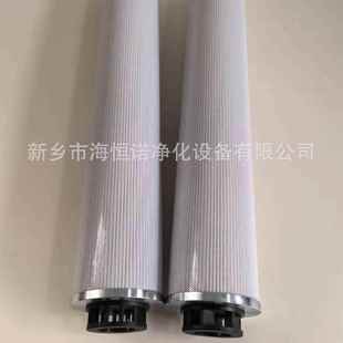 FRMgES20 10P20F给水泵润滑油出口滤芯