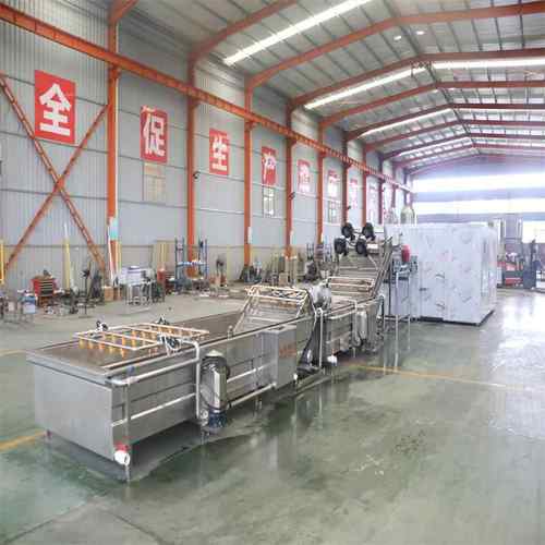 橙子果蔬清洗机大型苹果梨子柑橘清洗风干设备枸杞气泡清洗机