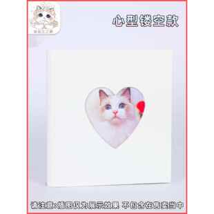 萌猫江之畔 A5卡册 INS风 专辑小卡收纳册 追星 PTCG  卡册收藏册