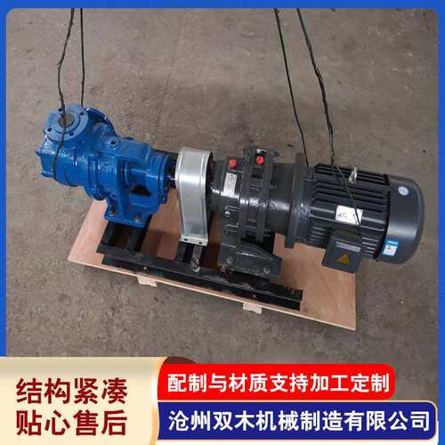 厂家供应内啮合转子泵油脂涂料油漆树脂输送转子泵铸铁材质