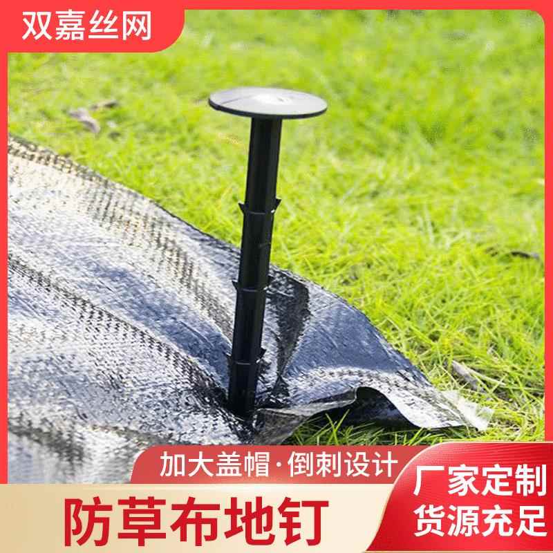 地钉防草布除草布园艺果园果树大棚农田地布钉防草布农用