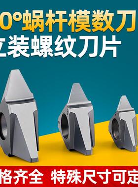 蜗杆40度模数立装螺纹刀片不锈钢三角形梯形27VER/22VER M1/2/2.5