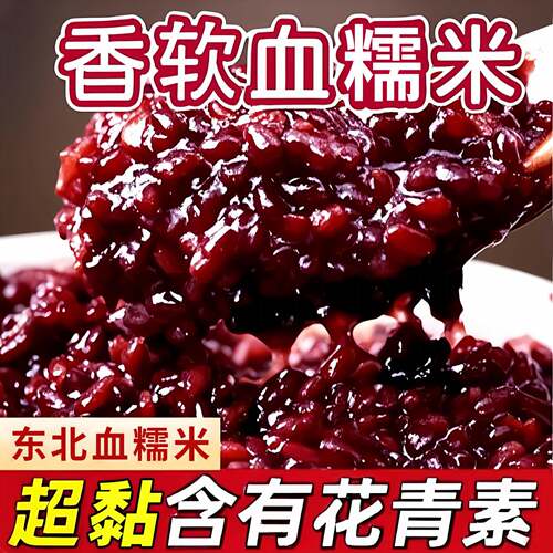 东北黑糯米正宗血糯米紫米当季新米农家黏米粘米包糉子饭团专用