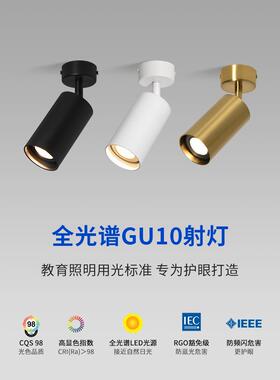 Led表面安装的射灯可调角度单一家庭客厅背景墙天花板安装的射灯