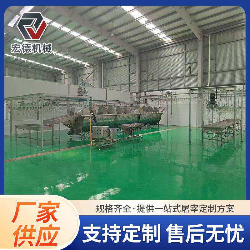 家禽屠宰成套设备淘汰蛋鸡烫毛脱毛设备大型自动家禽打毛机