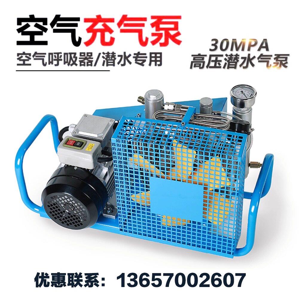 呼吸潜水消防充气瓶空气压缩机空压机打打气机电动30mpa高压300kg