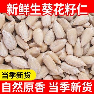 生葵花籽仁新货无壳瓜子仁原味新鲜生瓜子米花油葵榨油烘培非炒熟