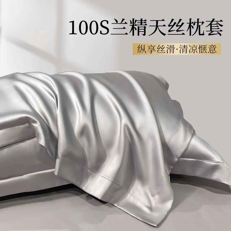 天丝夏季枕套真丝枕头套一对装冰丝枕头套48cmx74cm2025新款