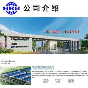 RYS哈轴传动223282233223322233CAC4CEK83277MB W303