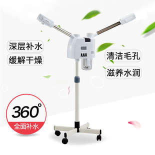 蒸汽美容院面东喷 家用冷热泰蒸熏蒸仪冷管冷热单双机喷雾机新款